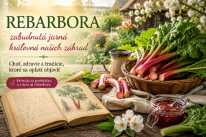 Vytvorila AI
